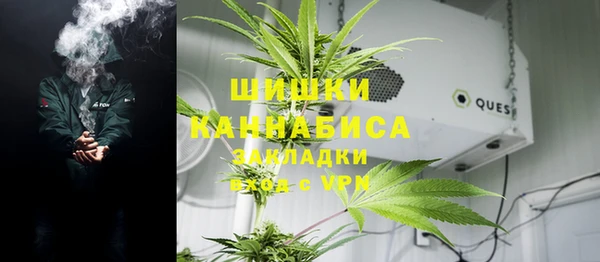 амф Алексин