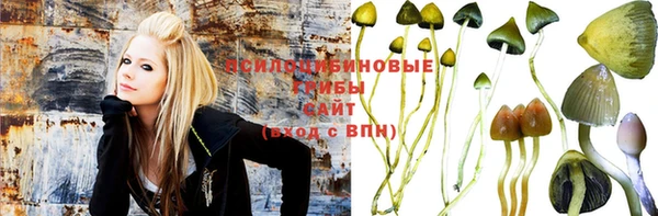 амф Алексин