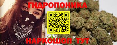 бошки Вышний Волочёк